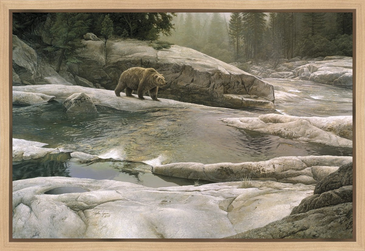 Uzumati - Great Bear of Yosemite