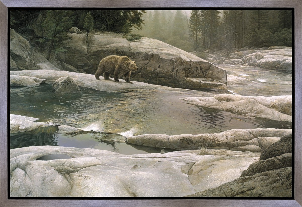 Uzumati - Great Bear of Yosemite