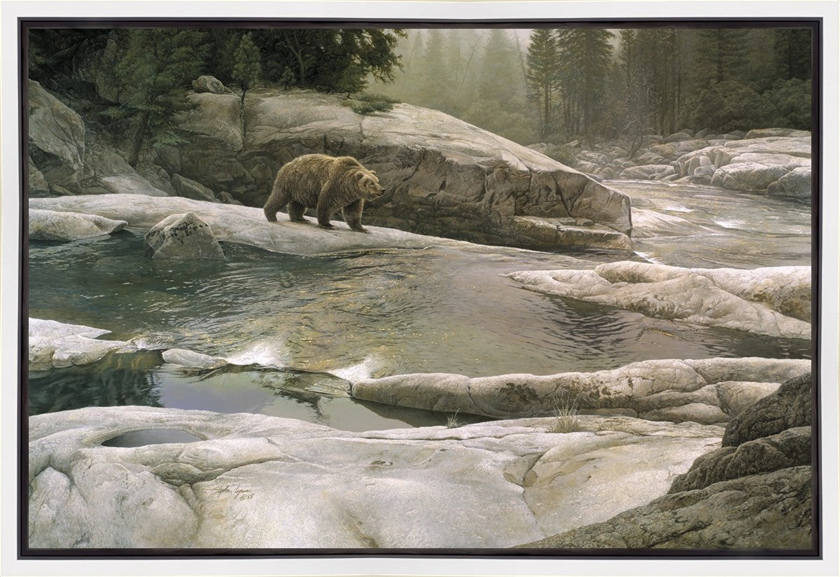 Uzumati - Great Bear of Yosemite