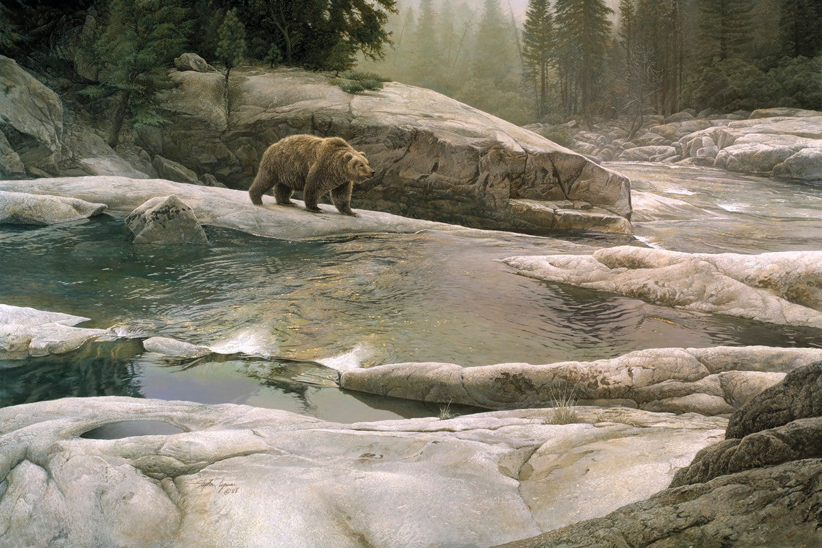 Uzumati - Great Bear of Yosemite