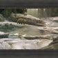 Uzumati - Great Bear of Yosemite