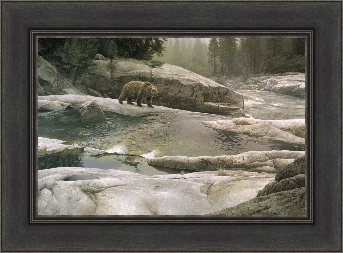 Uzumati - Great Bear of Yosemite