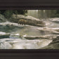 Uzumati - Great Bear of Yosemite
