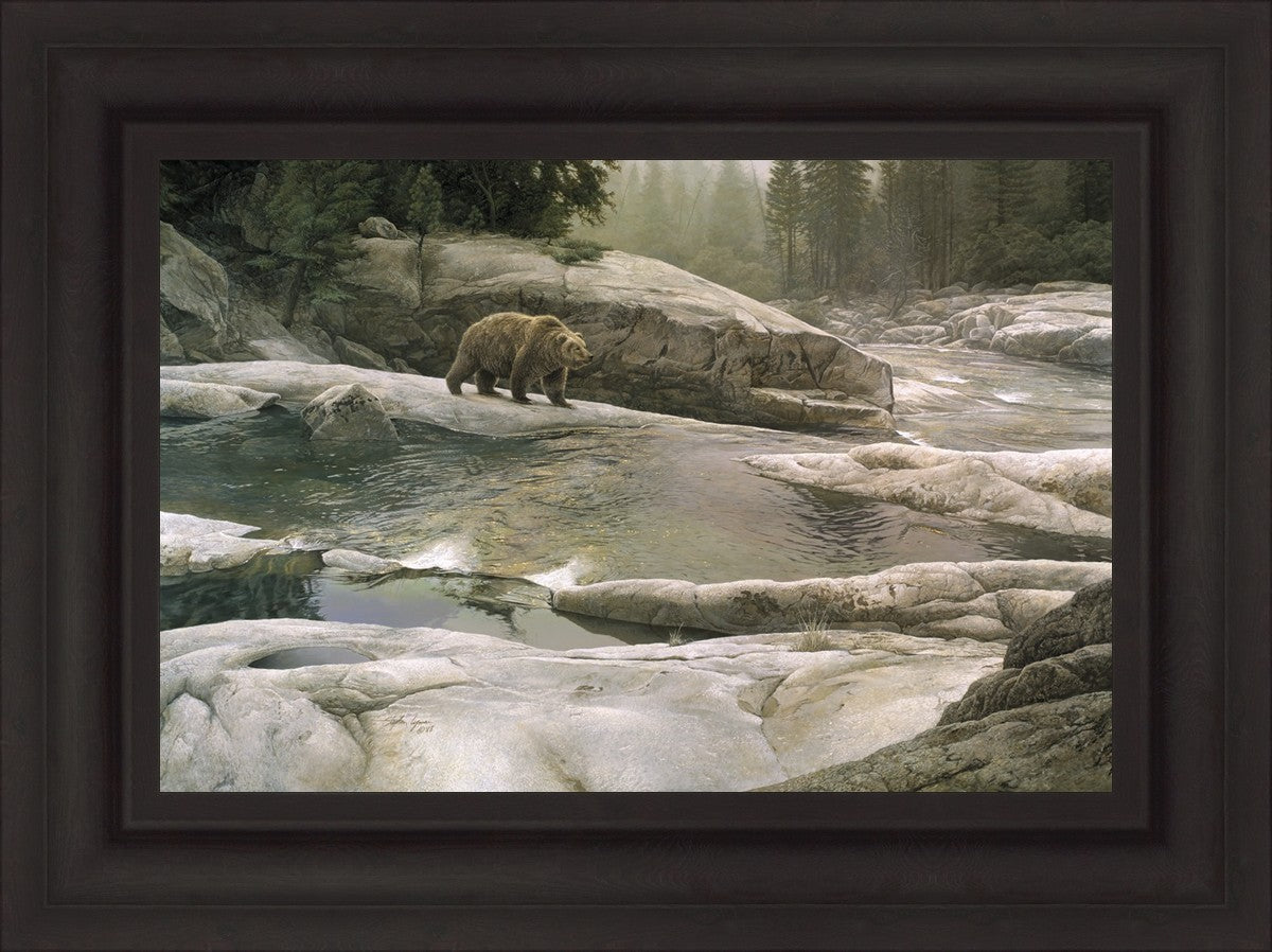 Uzumati - Great Bear of Yosemite