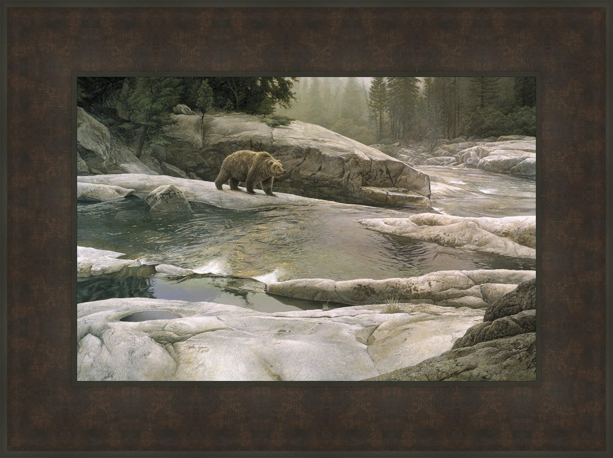 Uzumati - Great Bear of Yosemite