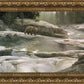 Uzumati - Great Bear of Yosemite