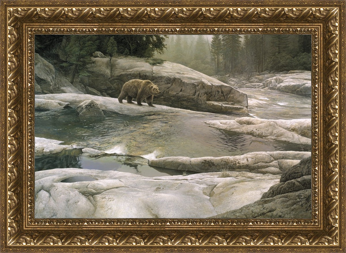 Uzumati - Great Bear of Yosemite