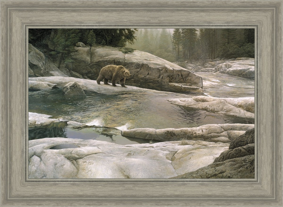 Uzumati - Great Bear of Yosemite