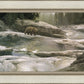 Uzumati - Great Bear of Yosemite
