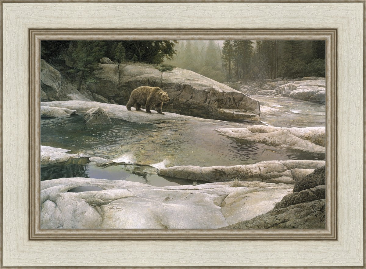 Uzumati - Great Bear of Yosemite