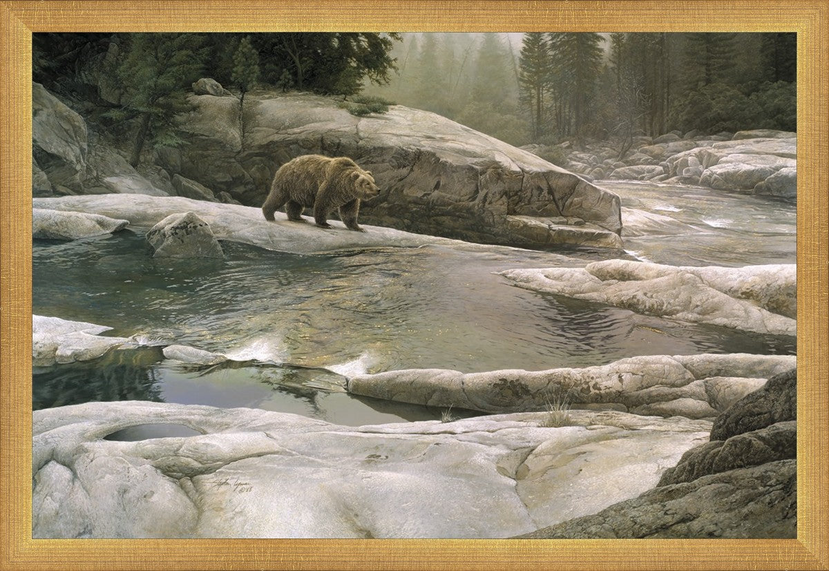 Uzumati - Great Bear of Yosemite