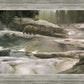 Uzumati - Great Bear of Yosemite