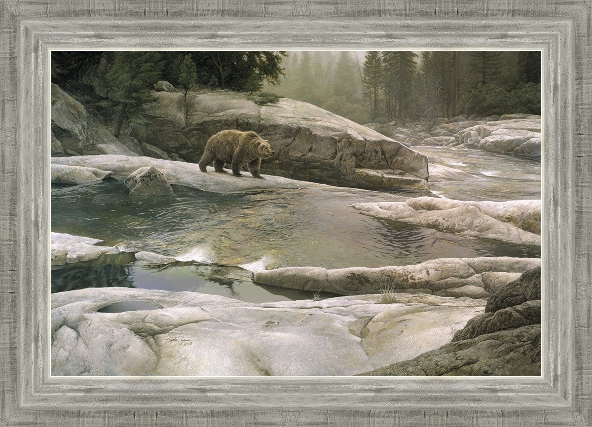 Uzumati - Great Bear of Yosemite