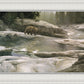 Uzumati - Great Bear of Yosemite