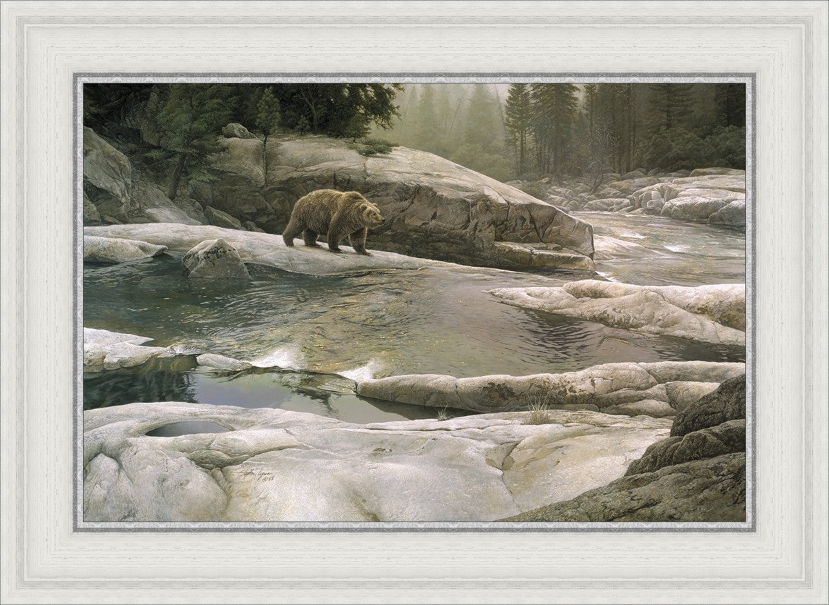 Uzumati - Great Bear of Yosemite