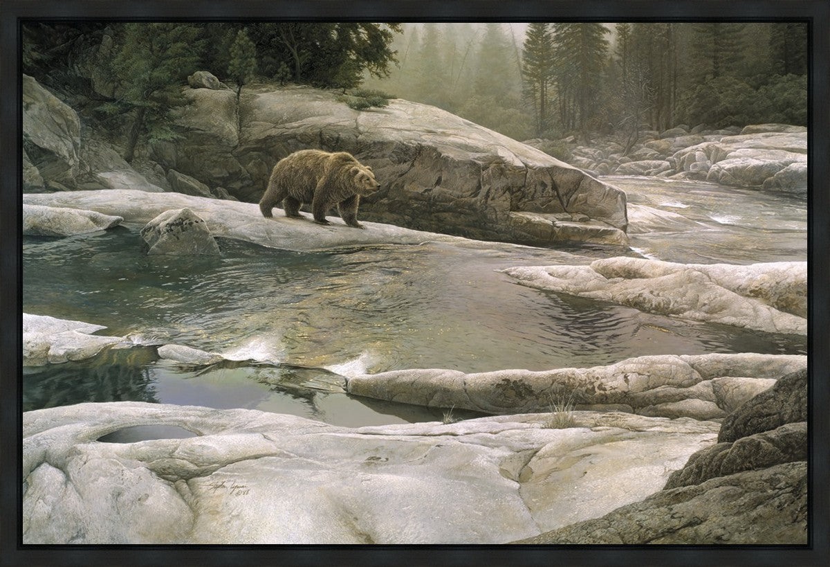 Uzumati - Great Bear of Yosemite