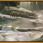 Uzumati - Great Bear of Yosemite