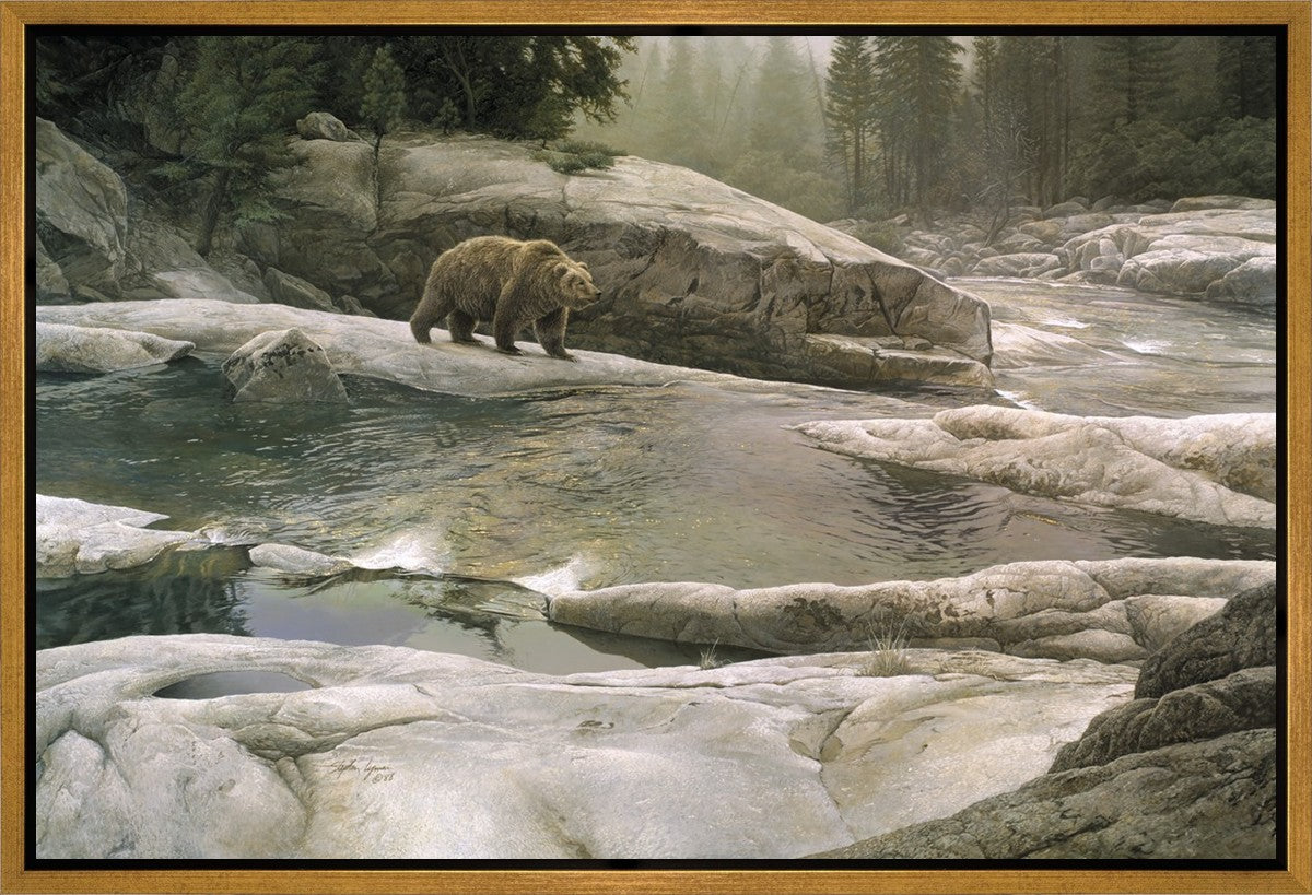 Uzumati - Great Bear of Yosemite