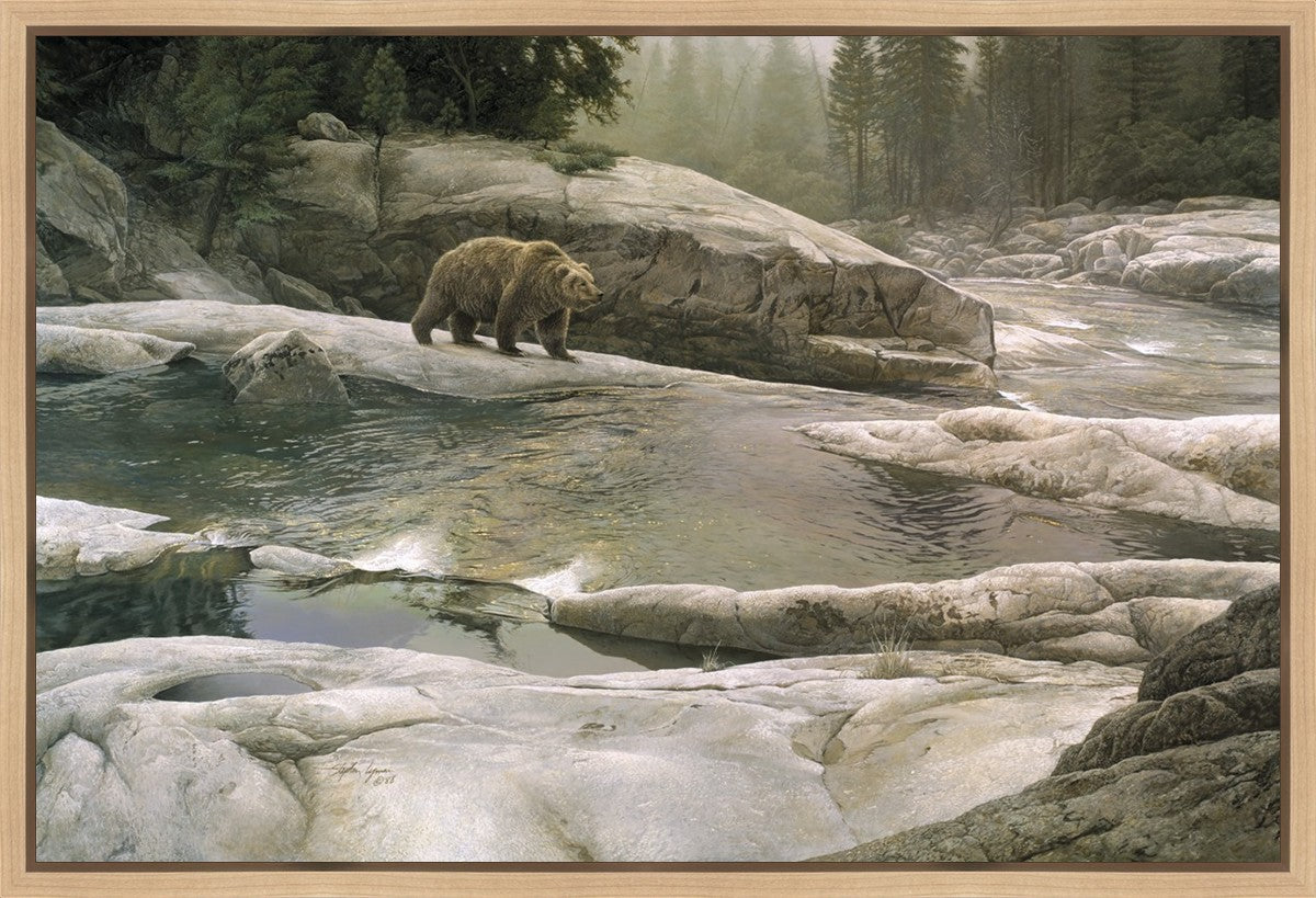 Uzumati - Great Bear of Yosemite