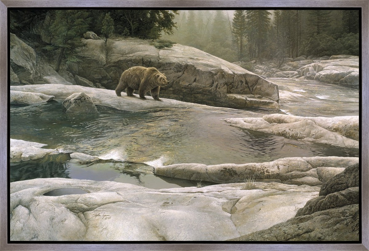 Uzumati - Great Bear of Yosemite