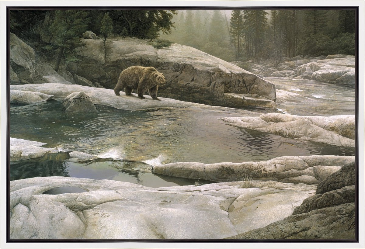 Uzumati - Great Bear of Yosemite