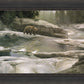 Uzumati - Great Bear of Yosemite