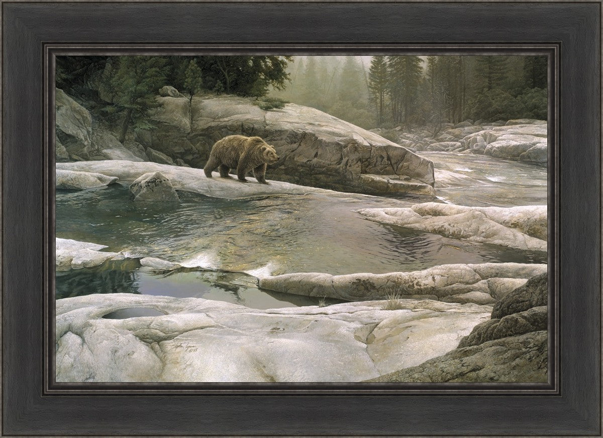 Uzumati - Great Bear of Yosemite