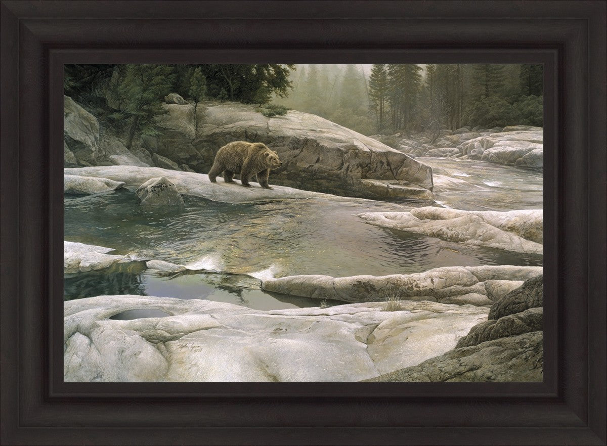 Uzumati - Great Bear of Yosemite