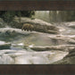 Uzumati - Great Bear of Yosemite