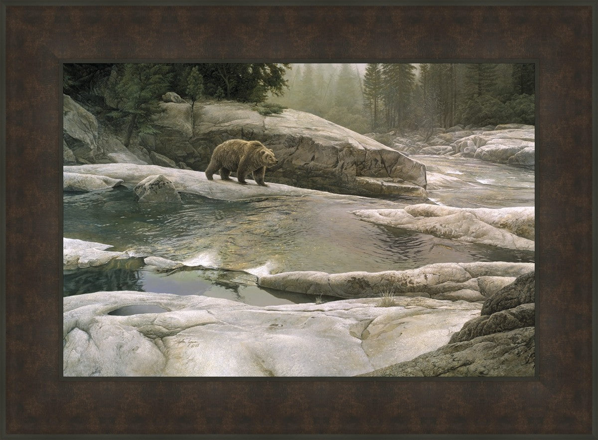 Uzumati - Great Bear of Yosemite