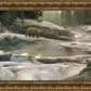 Uzumati - Great Bear of Yosemite