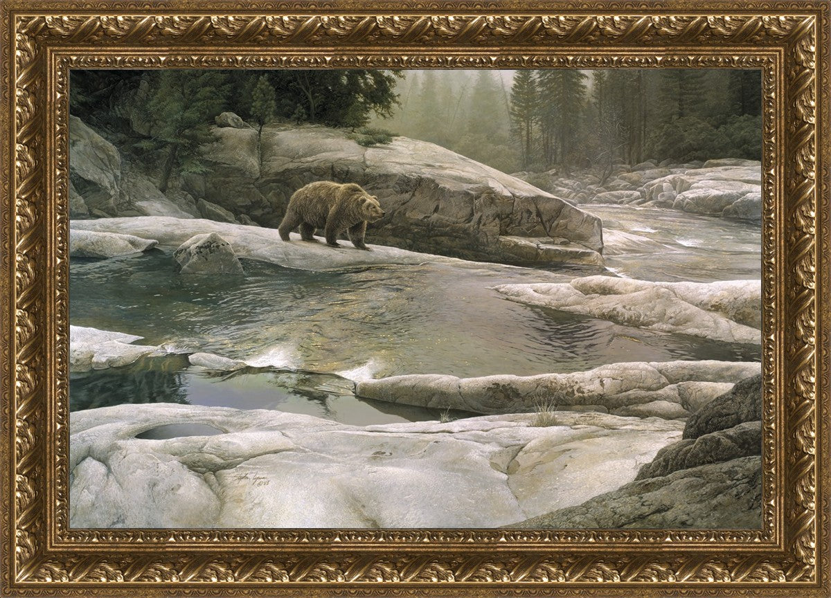 Uzumati - Great Bear of Yosemite