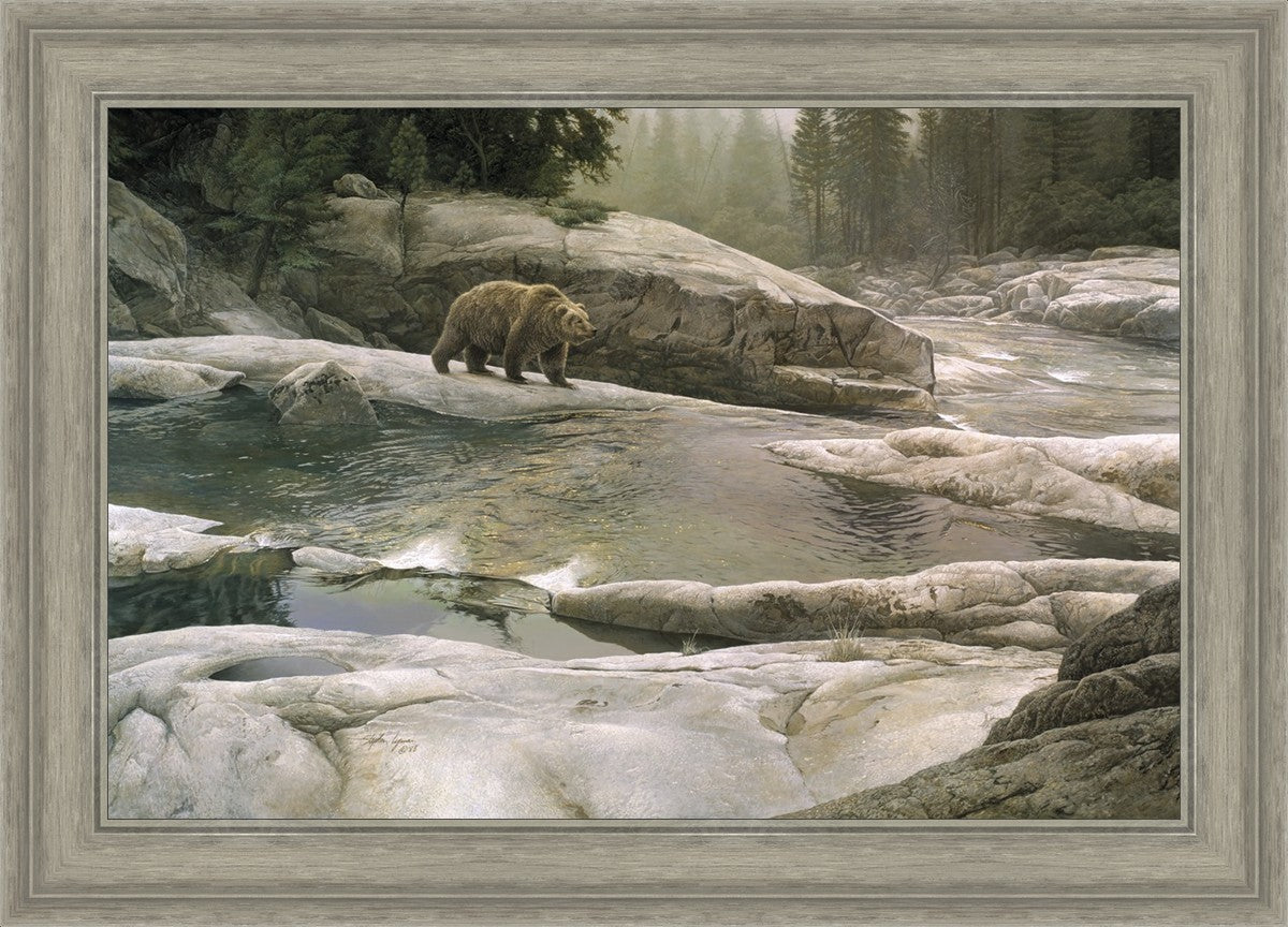Uzumati - Great Bear of Yosemite