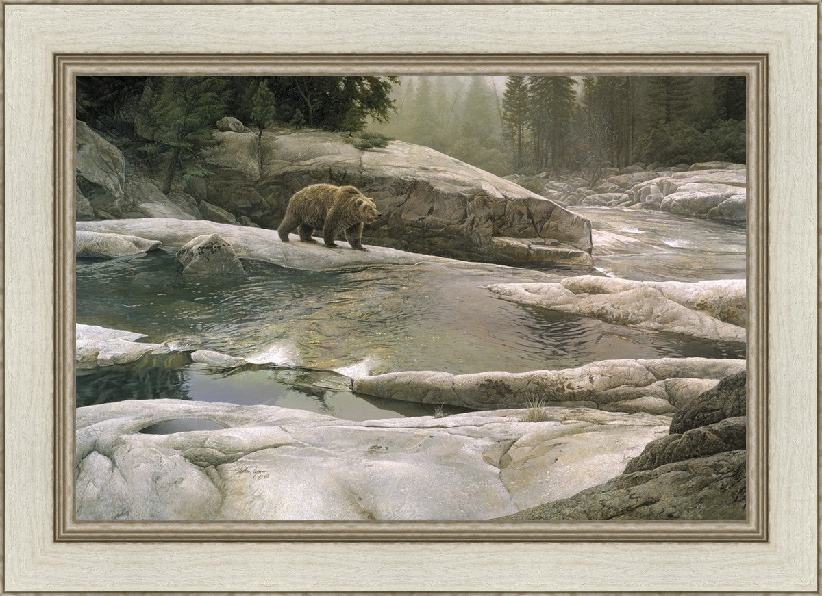 Uzumati - Great Bear of Yosemite