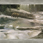 Uzumati - Great Bear of Yosemite