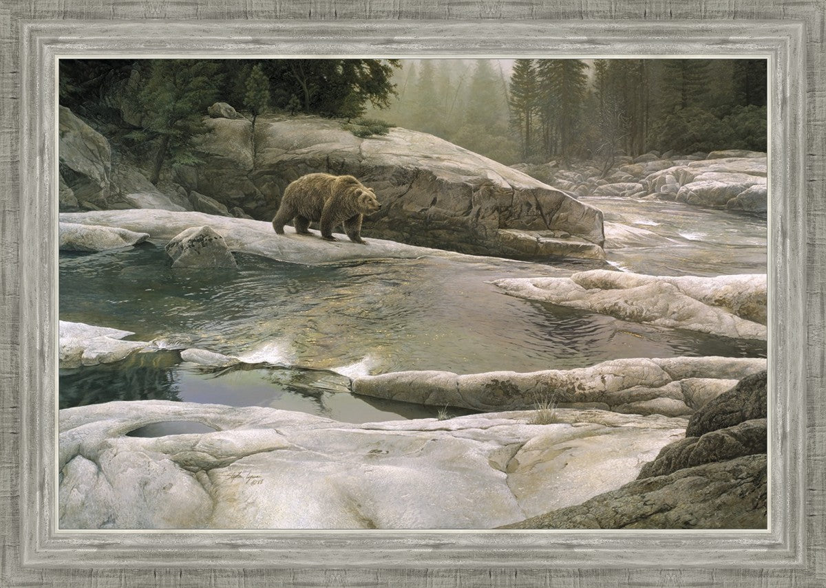 Uzumati - Great Bear of Yosemite