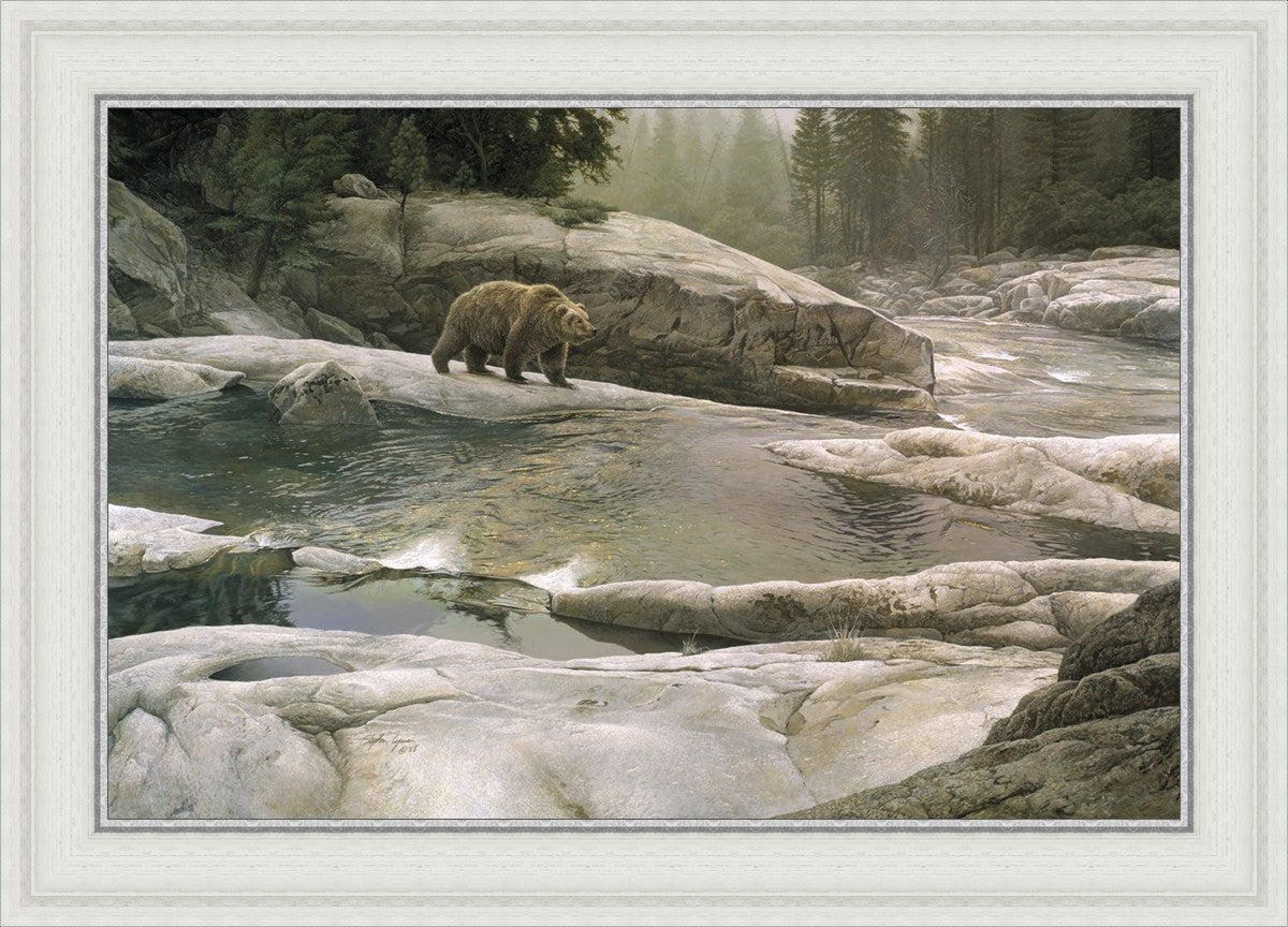 Uzumati - Great Bear of Yosemite