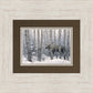 A Walk in the Woods