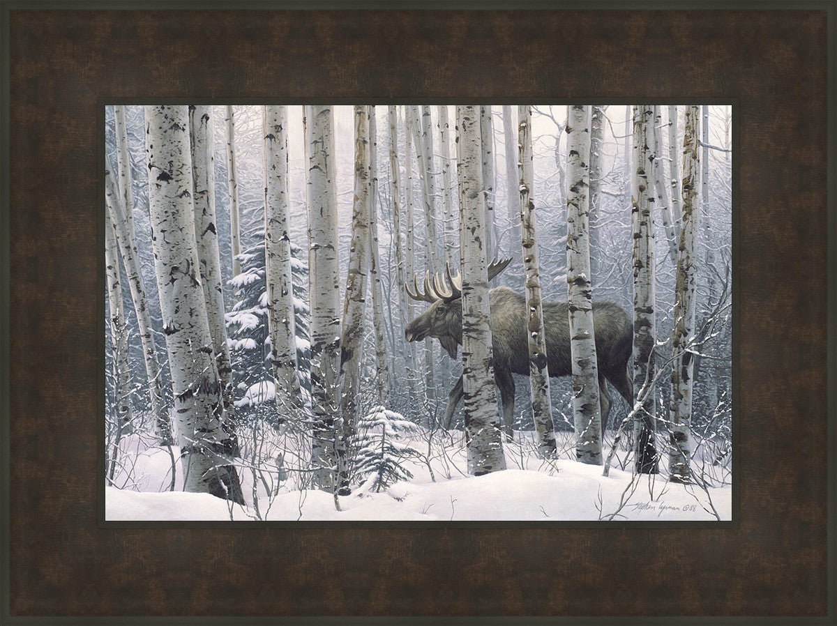 A Walk in the Woods