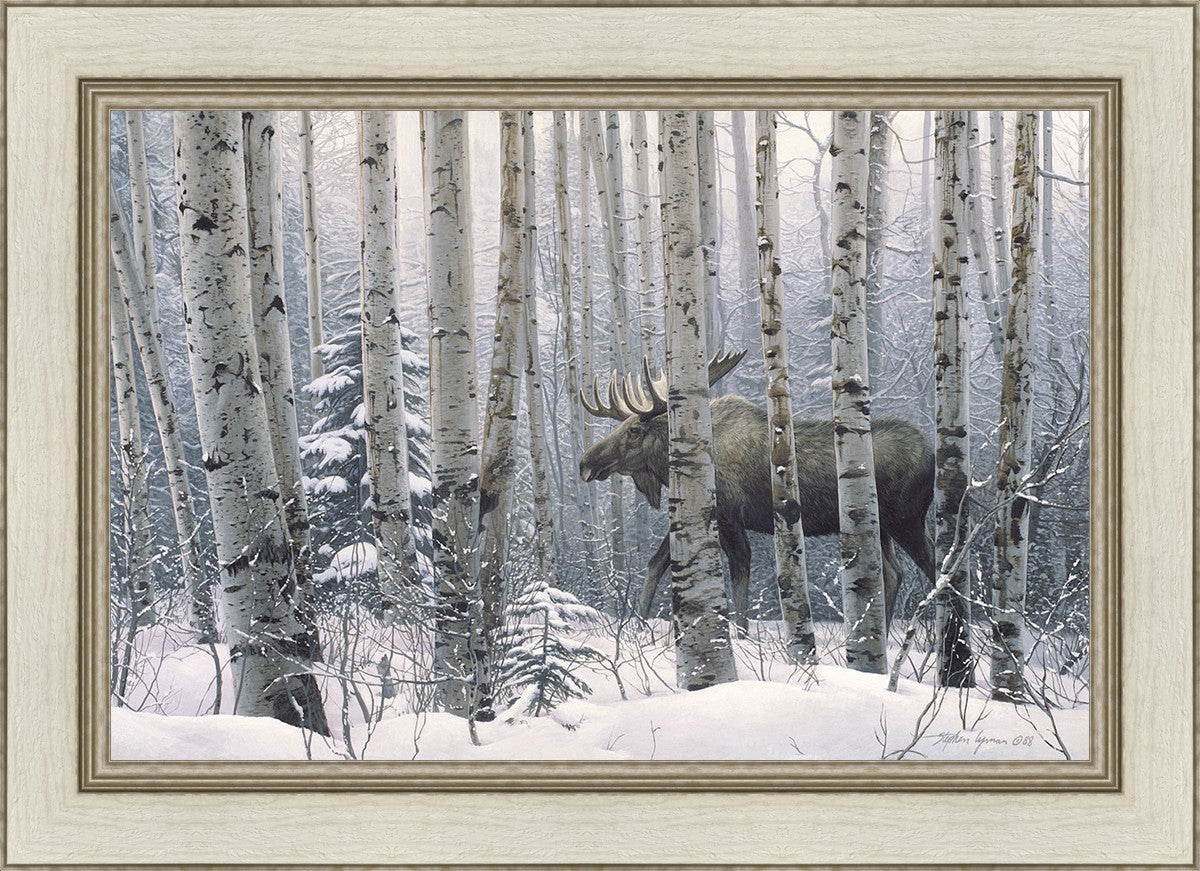 A Walk in the Woods