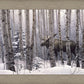 A Walk in the Woods