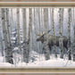 A Walk in the Woods