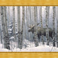 A Walk in the Woods