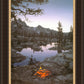 Embers at Dawn