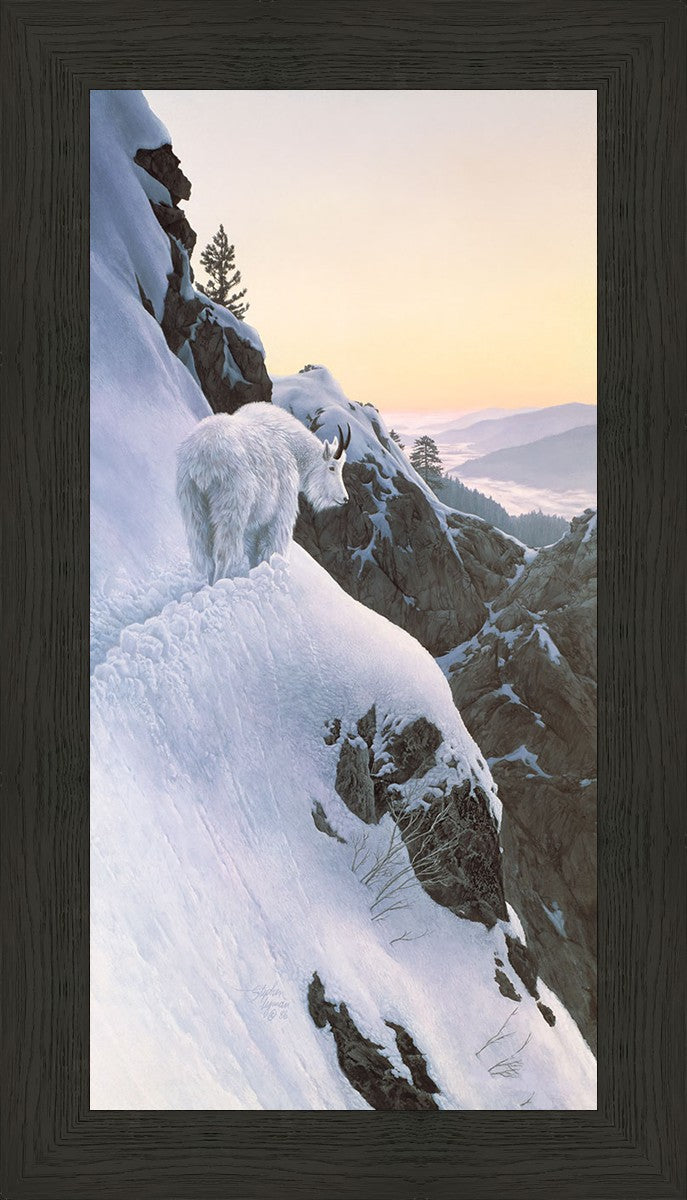 High Trail at Sunset