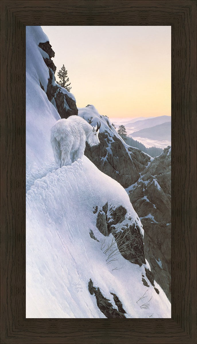 High Trail at Sunset
