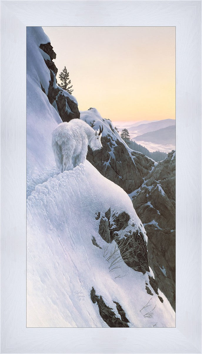 High Trail at Sunset