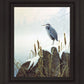 Morning Solitude