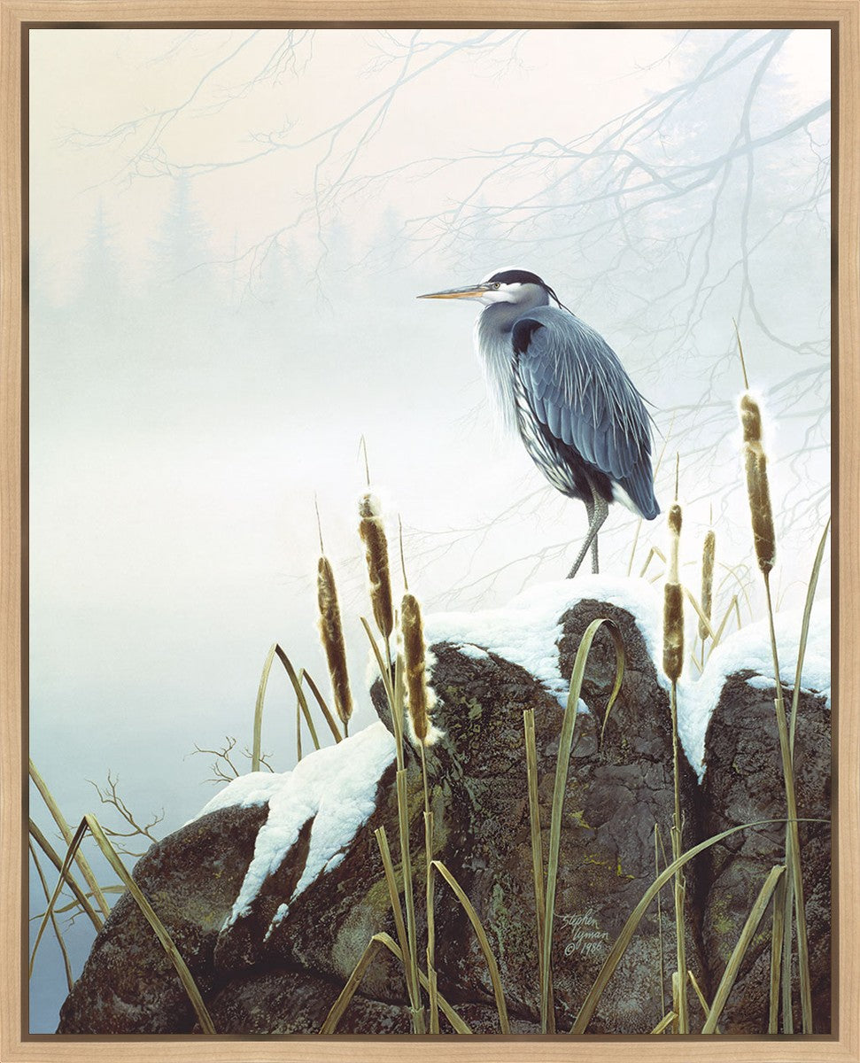 Morning Solitude