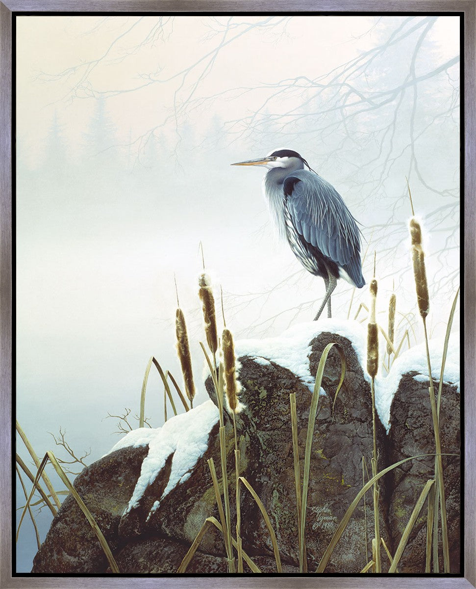 Morning Solitude